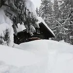 Ferienhuette Hochalm Holiday home