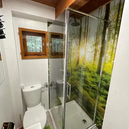 Dom wakacyjny Ferienhuette Hochalm Lunz am See