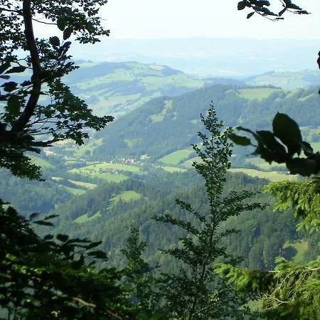 Ferienhuette Hochalm Lunz am See