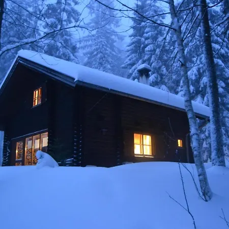 Ferienhuette Hochalm *