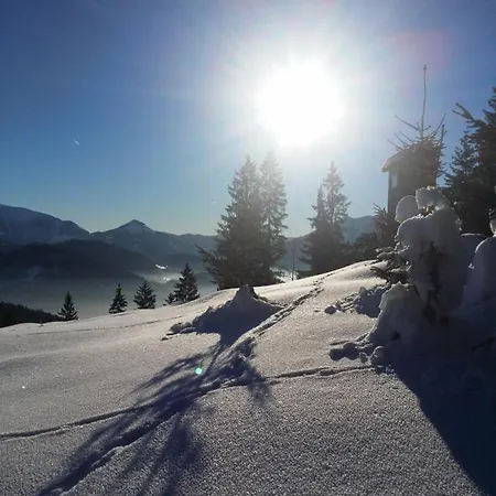 Сasa de vacaciones Ferienhütte Hochalm Lunz am See