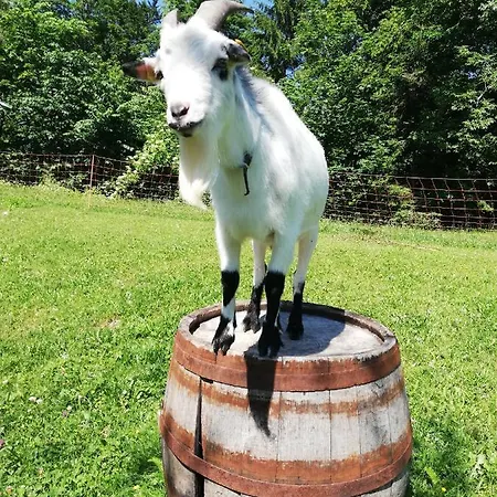 Dom wakacyjny Ferienhuette Hochalm Lunz am See