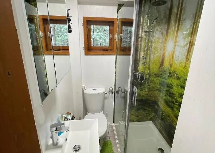 Ferienhuette Hochalm Lunz am See