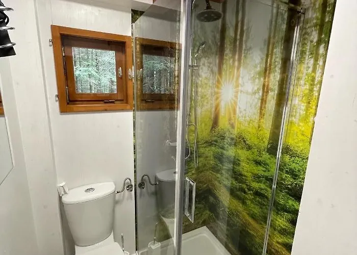 Dom wakacyjny Ferienhuette Hochalm Lunz am See