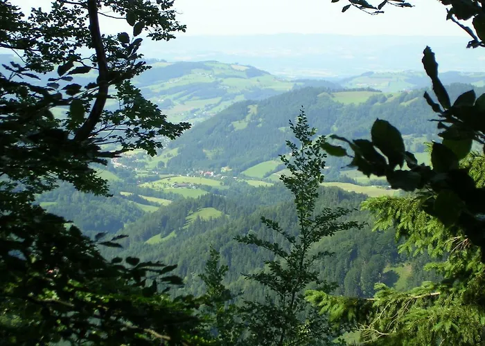 Ferienhuette Hochalm Lunz am See