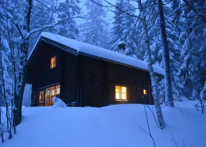 Ferienhuette Hochalm *