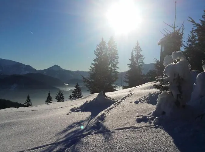 Dom wakacyjny Ferienhuette Hochalm Lunz am See