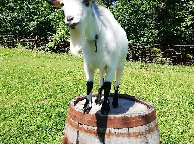 Dom wakacyjny Ferienhuette Hochalm Lunz am See